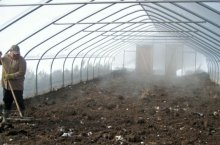 Лучшие методы обеззараживания почвы в теплице и правила восстановления полезной флоры