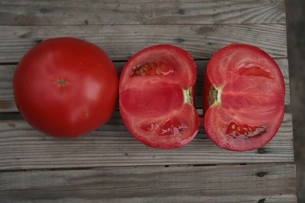 Сорта помидор для теплиц: обзор самых урожайных гибридов и лучших сортовыхтоматов