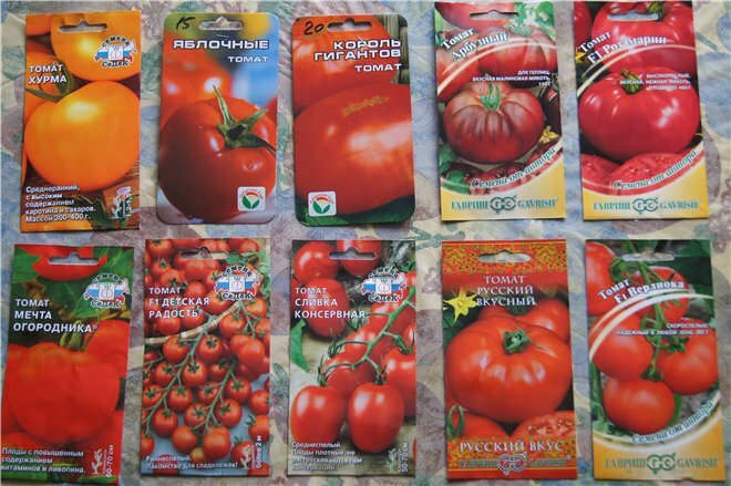 помидоры семена лучшие сорта